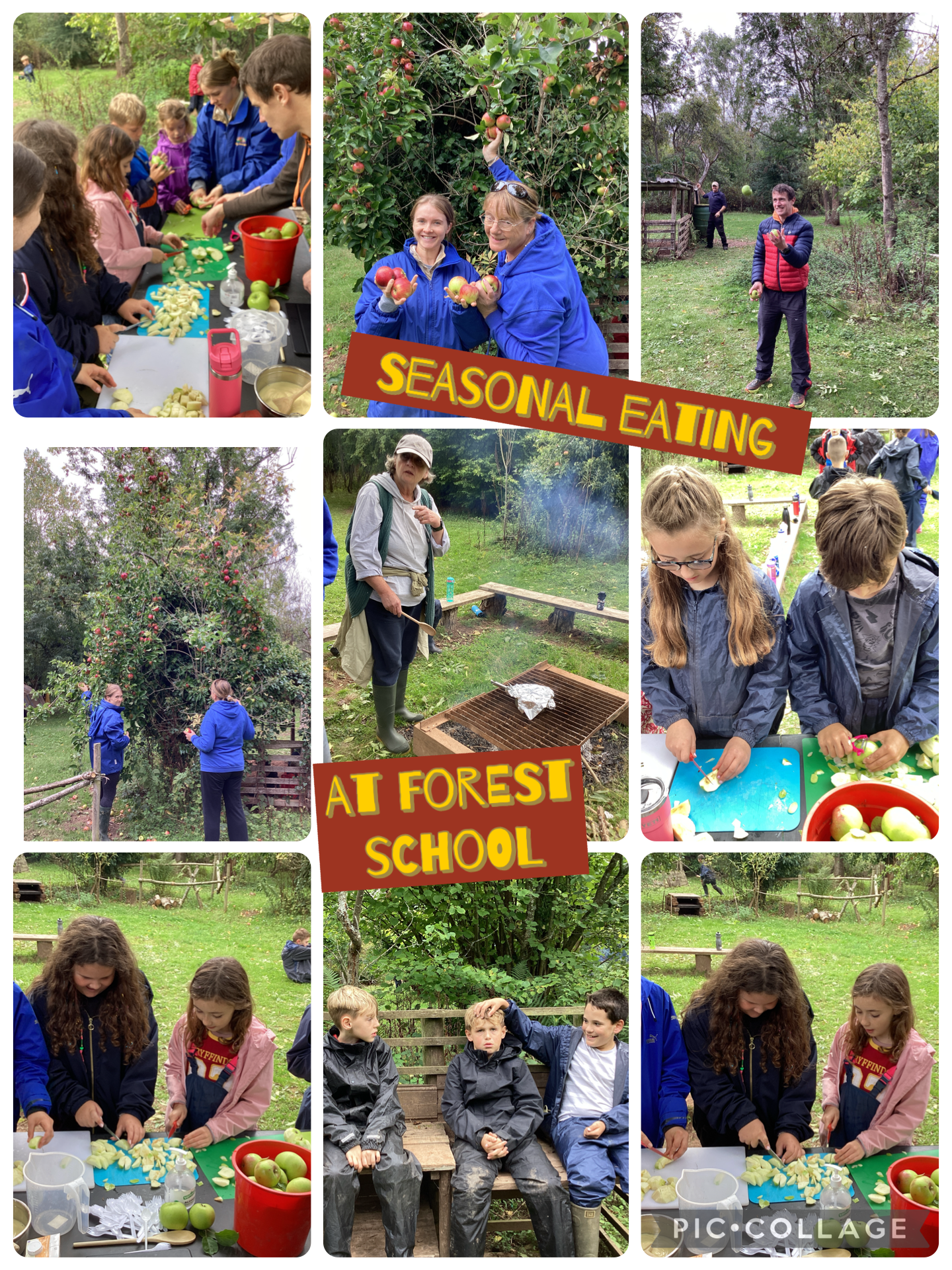 Using up our home grown apples- delicious!